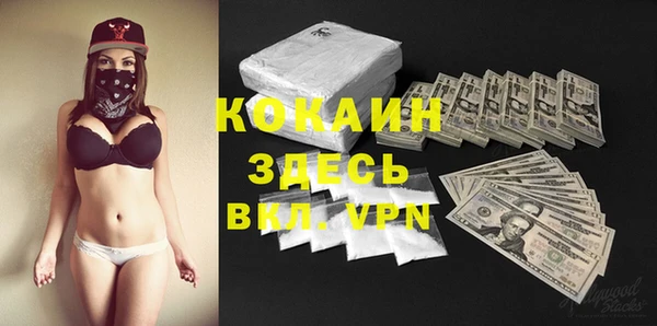 прущие грибы Касимов