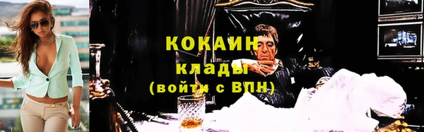 прущие грибы Касимов
