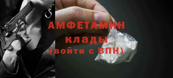 сатива Карпинск