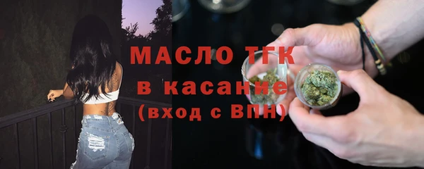 сатива Карпинск
