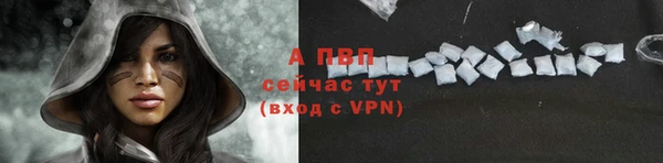 прущие грибы Касимов