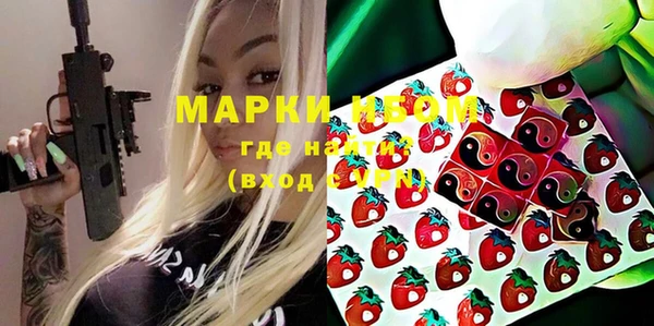 сатива Карпинск