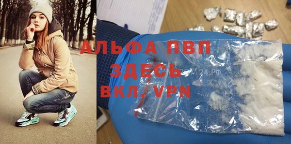 прущие грибы Касимов