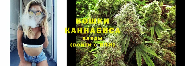 прущие грибы Касимов