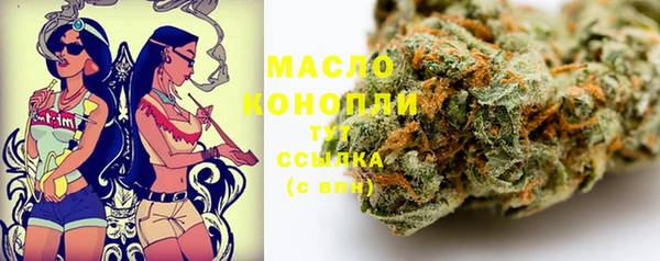 сатива Карпинск