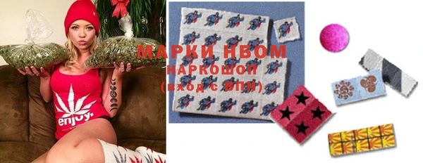прущие грибы Касимов